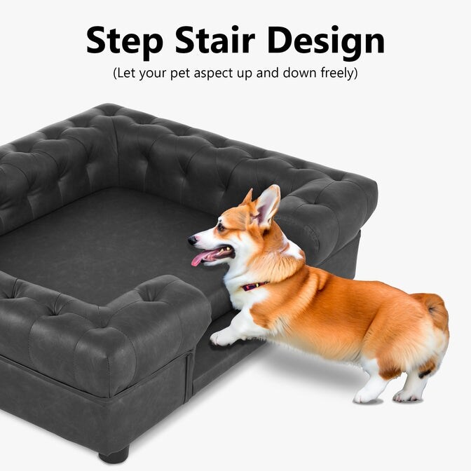 Bed bath and beyond dog on sale
