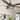 52 Inch 2-Light Farmhouse Crystal Caged Ceiling Fans With Lights and Remote Modern Wood Grain Fandelier - 52in.
