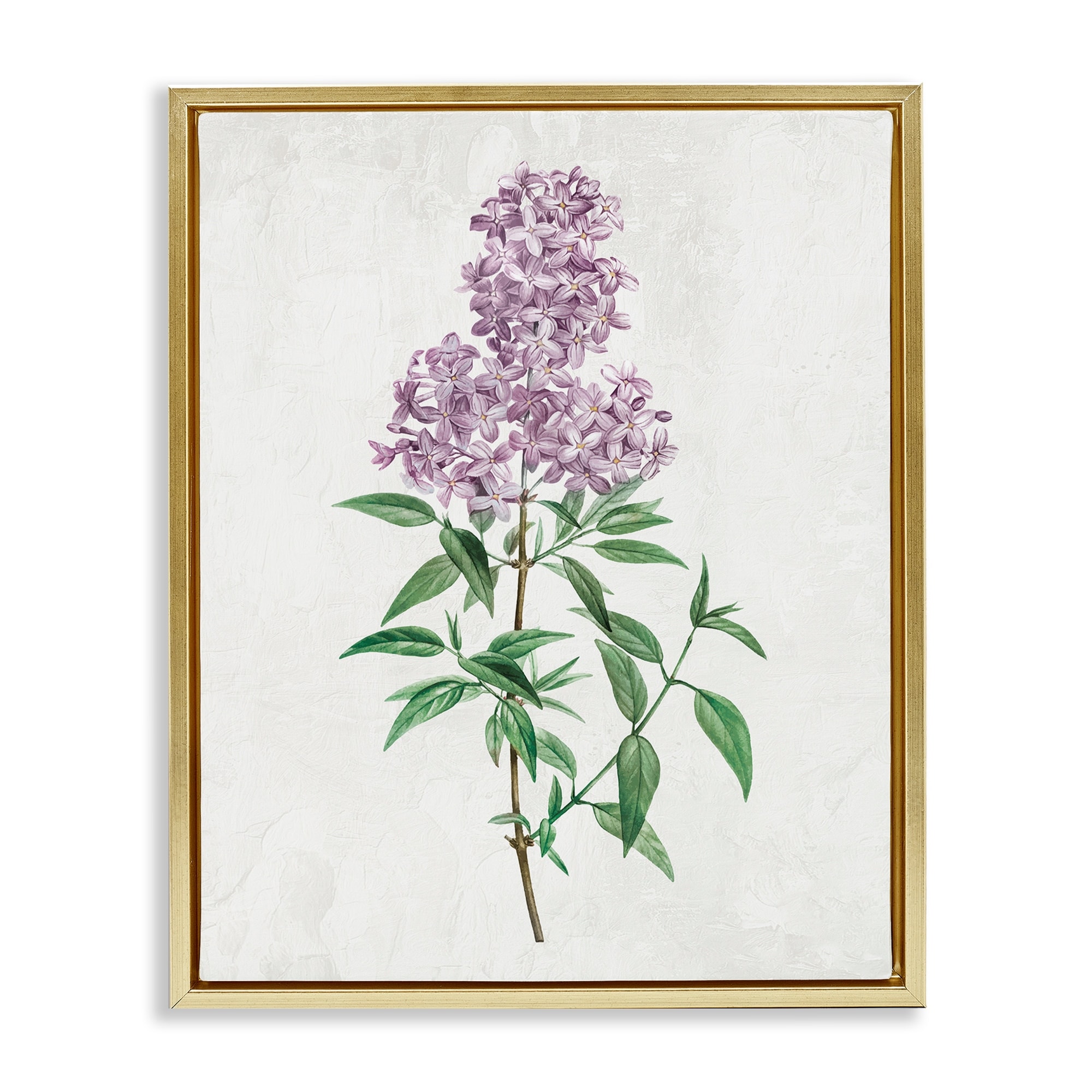 Stupell Lilac Blossoms Blooms Framed Floater Canvas Wall Art Design By Kim Allen