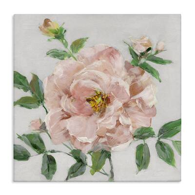 Stupell Pink Carnation Blossom Canvas Wall Art Design By Sally Swatland