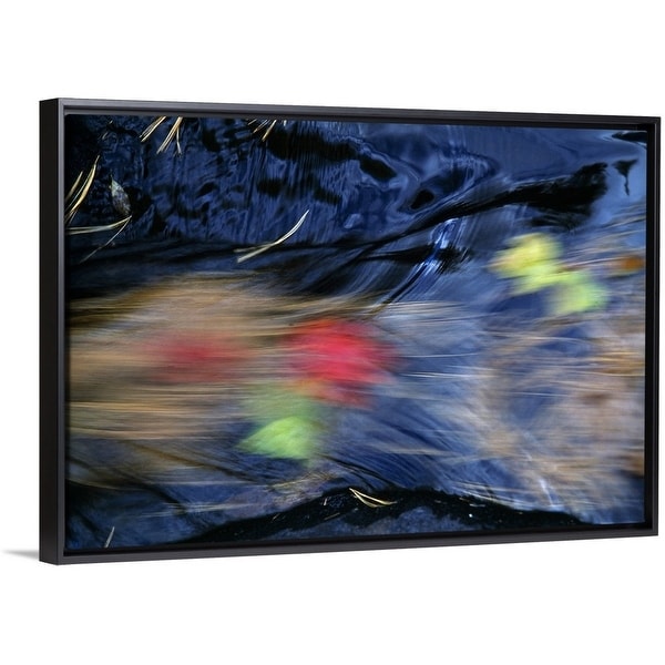 Floating Frame Premium Canvas With Black Enled Fallen Floating Frame Premium Canvas With Black Enled Fallen Pine Needles And Autumn Color Leaves