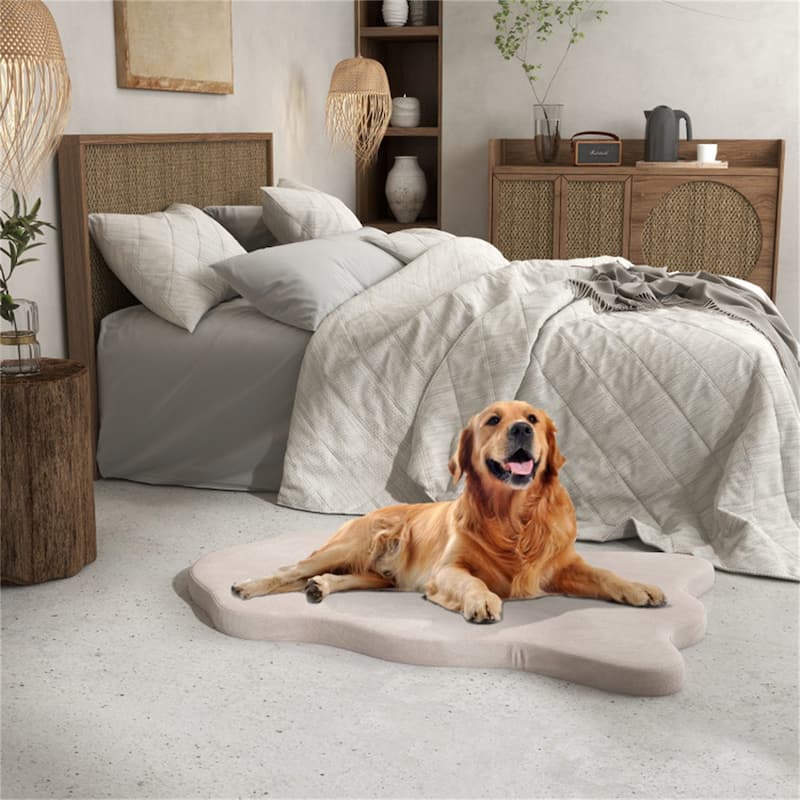 43 " Orthopedic Dog Bed For Large Dogs ?Beige - Multi