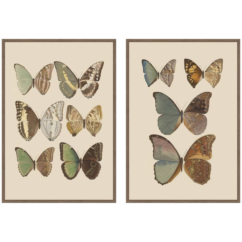 Kate and Laurel Exotische schmetterlinge Otto Staudinger 2 Piece Framed Canvas Wall Art Set by Nostalgia Prints - 2 Piece Set 23x33