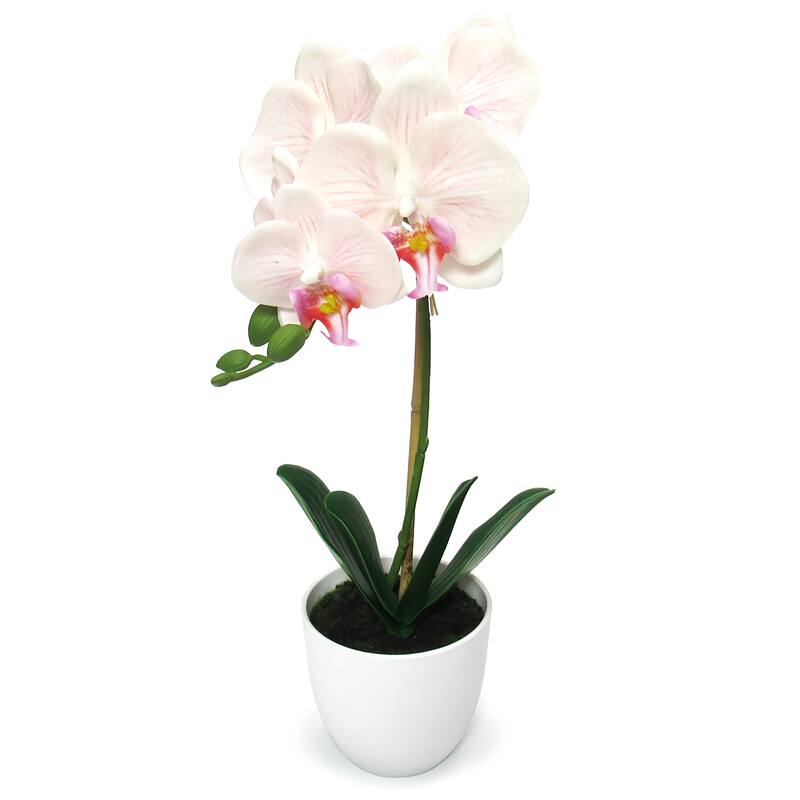 Artificial Phalaenopsis Orchid Flower Arrangement in White Pot 17in - 17" H x 8.5" W x 6" DP - Blush Peach