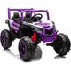 Option Purple