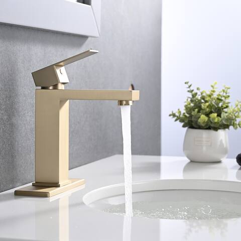 PROOX Single Bathroom Sink Faucet with Drain Assembly