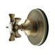 Option Antique Brass