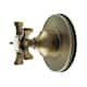 Option Antique Brass