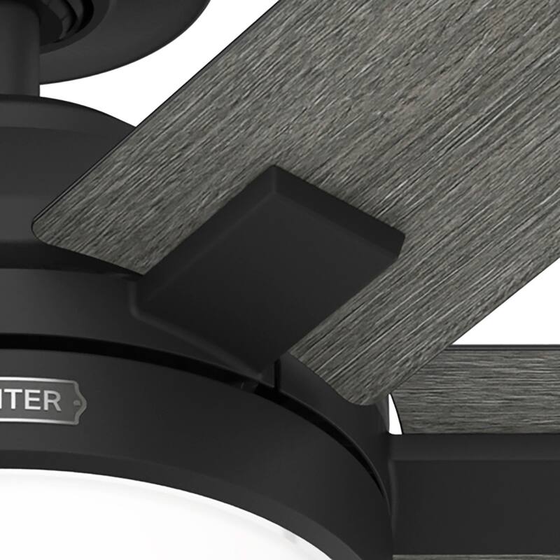 Hunter 52" Georgetown ENERGY STAR® Ceiling Fan w/ LED Light, Remote - Contemporary - Easy Install!