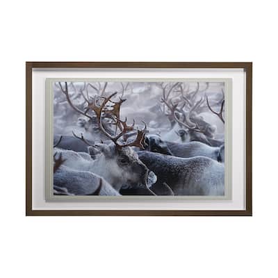 A Pause in the Herd Framed Art Print