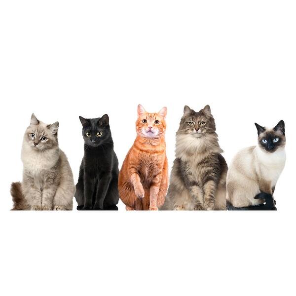 Shop Cat House Vinyl Window Door Clings All Upright Cats Sitting