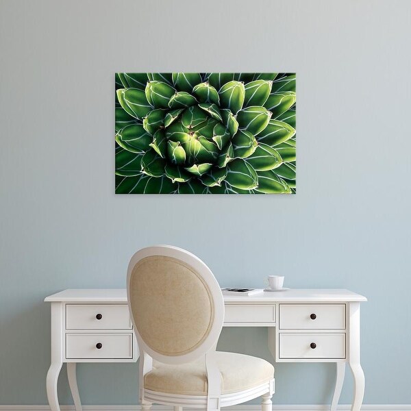 Easy Art Prints Rob Tilley's 'Queen Victoria's Agave' Premium Canvas Art