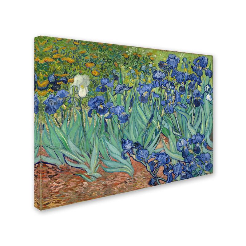 Vincent van Gogh 'Irises, 1889' Canvas Art