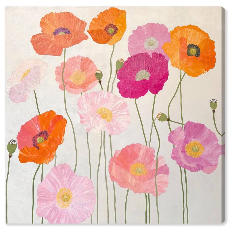 Sunset Poppy Chorus II Canvas by Art Remedy, Gallery Wrapped - 24" x 24"