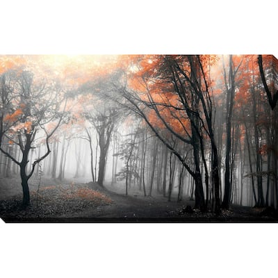 "Autumn Woods " by PhotoINC Studio Print on Canvas