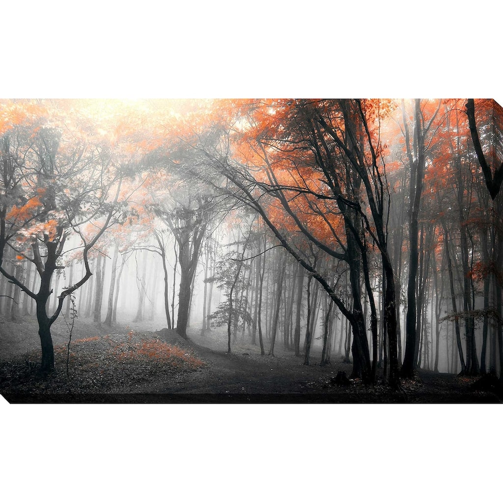 "Autumn Woods " by PhotoINC Studio Print on Canvas