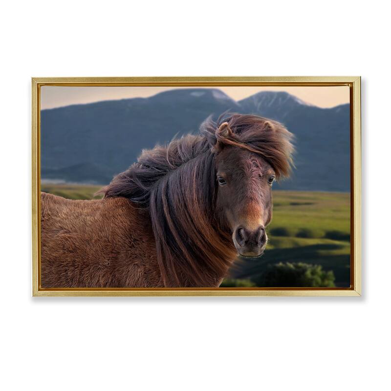 Stupell Windblown Mare in Mountain Valley Framed Floater Canvas Wall Art Design By Steve Toole - 31 x 21 - Gold