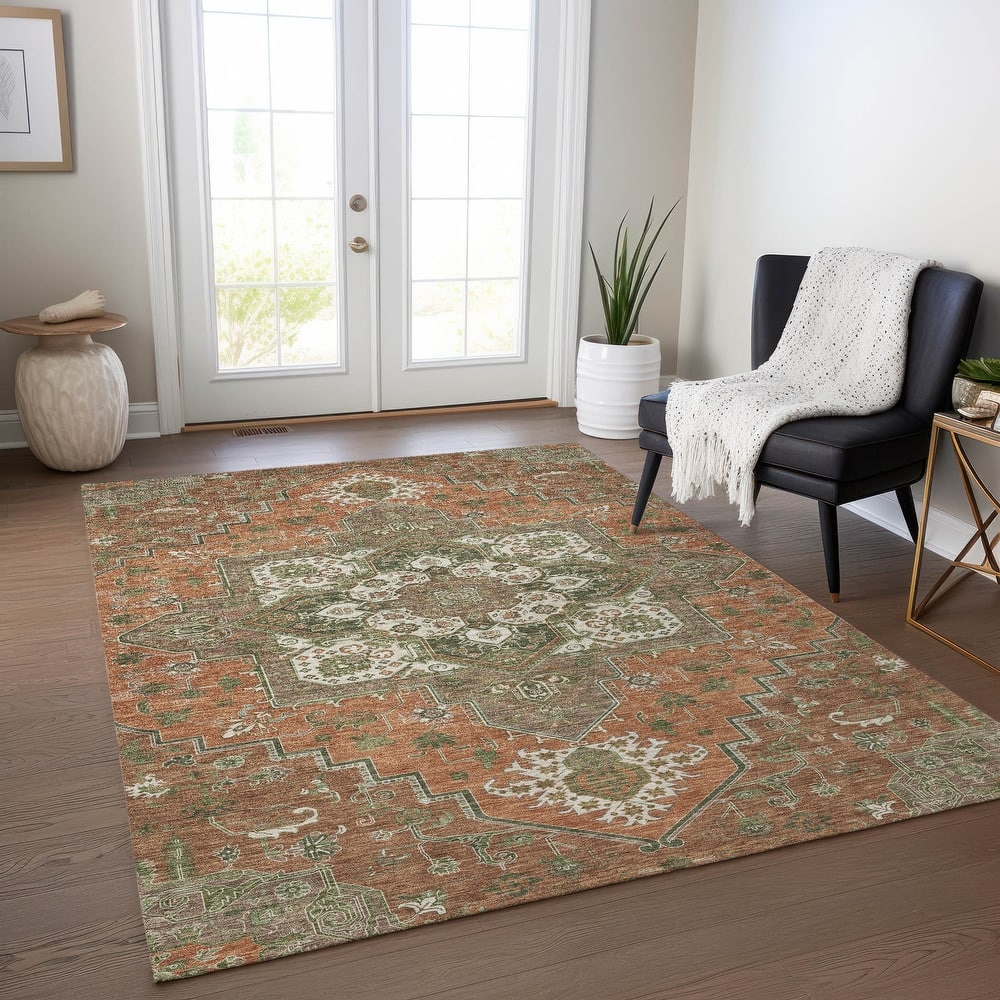 Machine Washable Indoor/ Outdoor Persian Traditional Chantille Rug