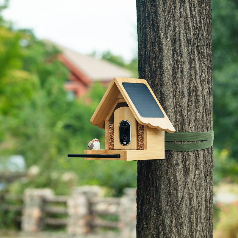 Smart Solar Bamboo Bird Feeder with Camera and AI Identify Bird Species - 9.8" W x 9.57" D x 7.87" H