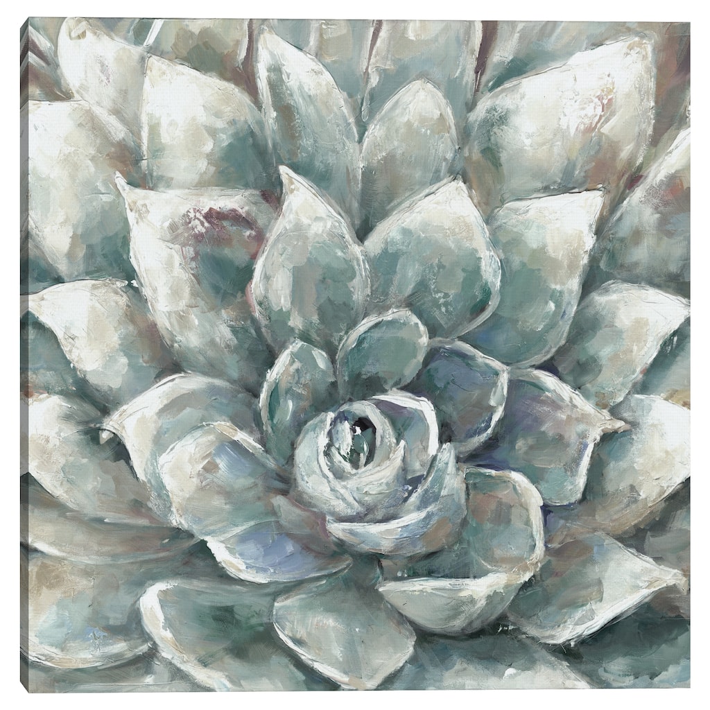Cactus Bloom Ivory Square by Sandy Doonan Canvas Art Print