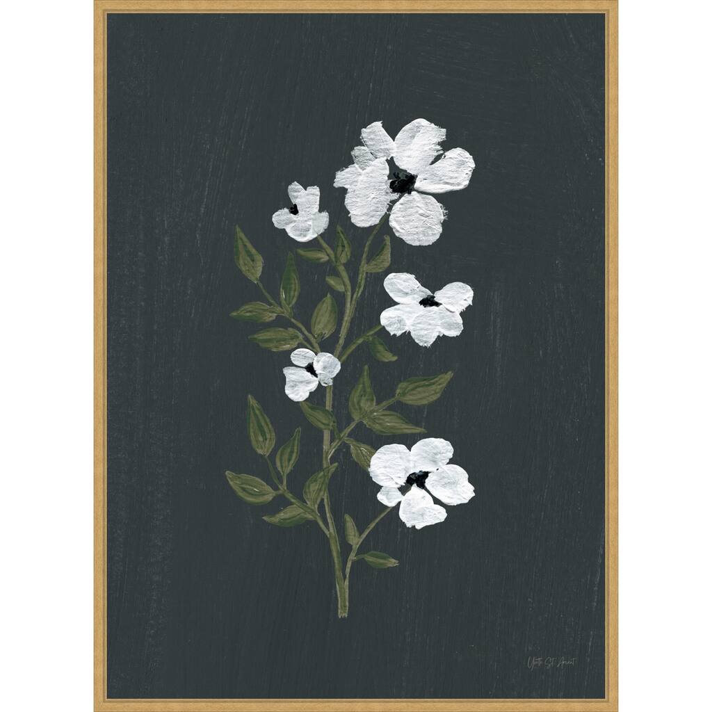Pretty Little Flower III Black by Yvette St. Amant Framed Canvas Wall Art Print