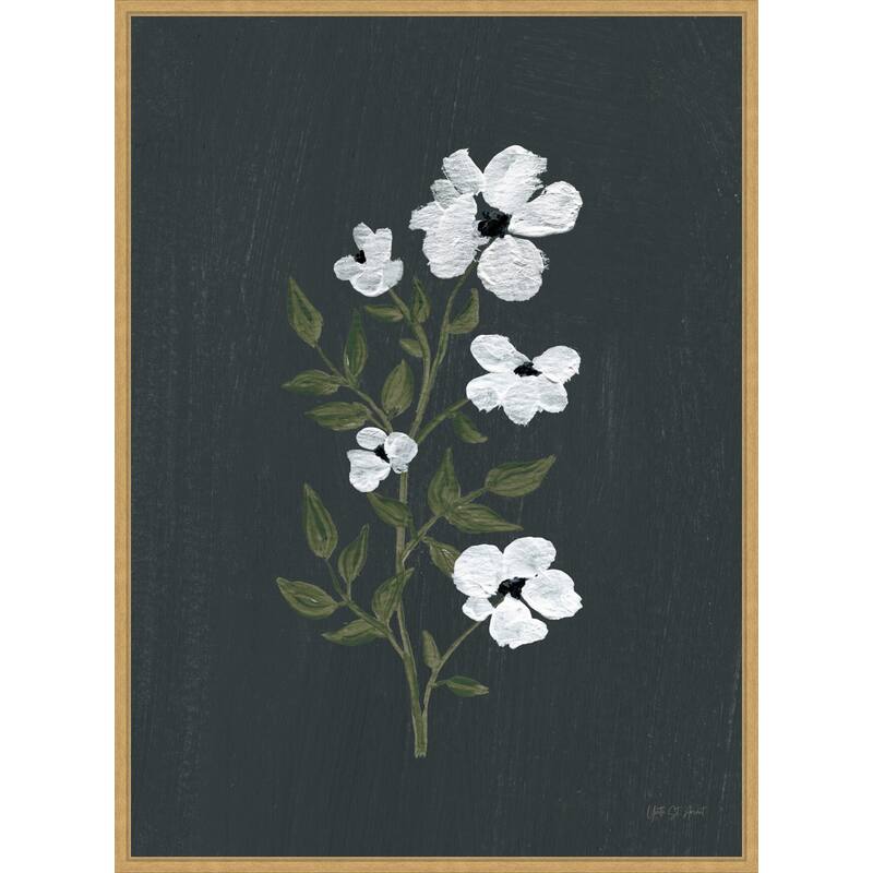 Pretty Little Flower III Black by Yvette St. Amant Framed Canvas Wall Art Print