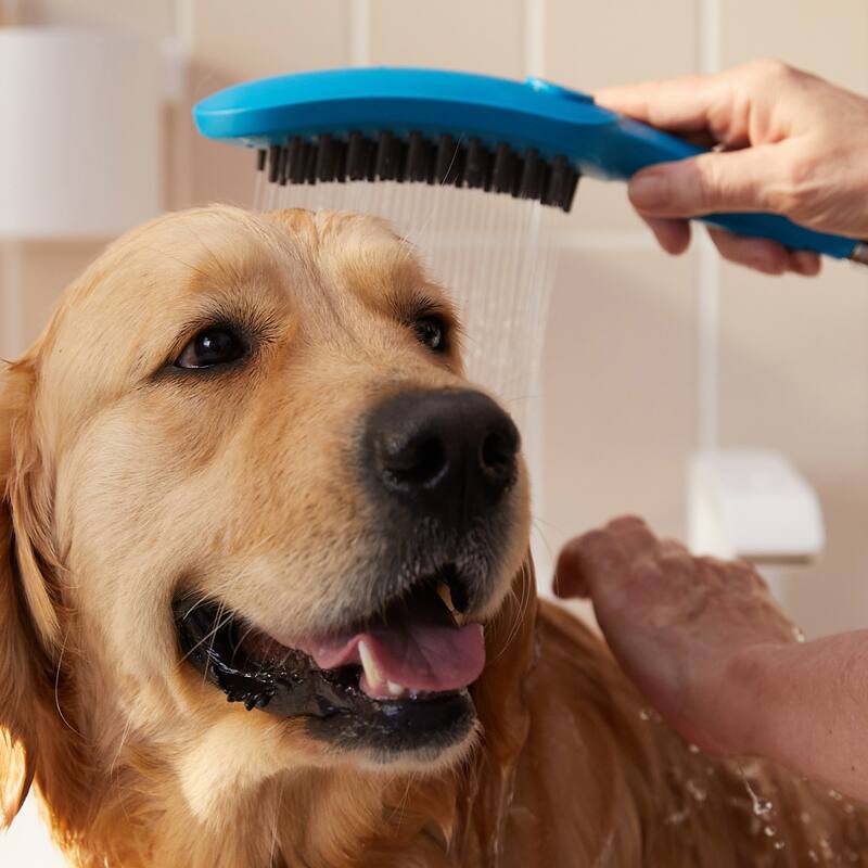 Hansgrohe 04973 DogShower 150, 3-Jet Select Hand Held Dog Shower with