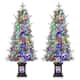 Option 6#2Pcs