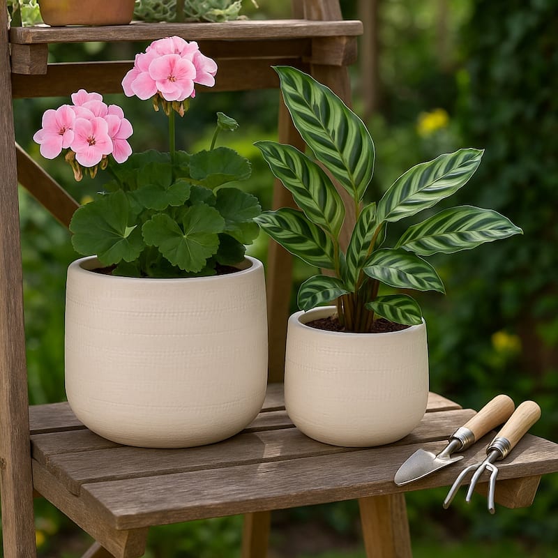 Clay Decorative Planters Dots Lines Modern (Set of 2) - 10" White - 12" x 12" x 10"