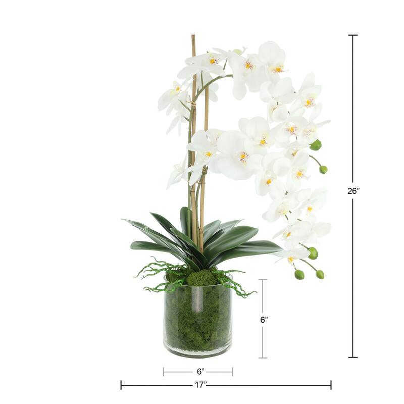 Orchids Arranged in Glass Vase with Moss - 26