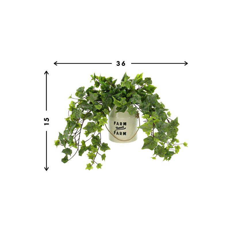 Ivy Arrangement in a Ceramic Pot - Green