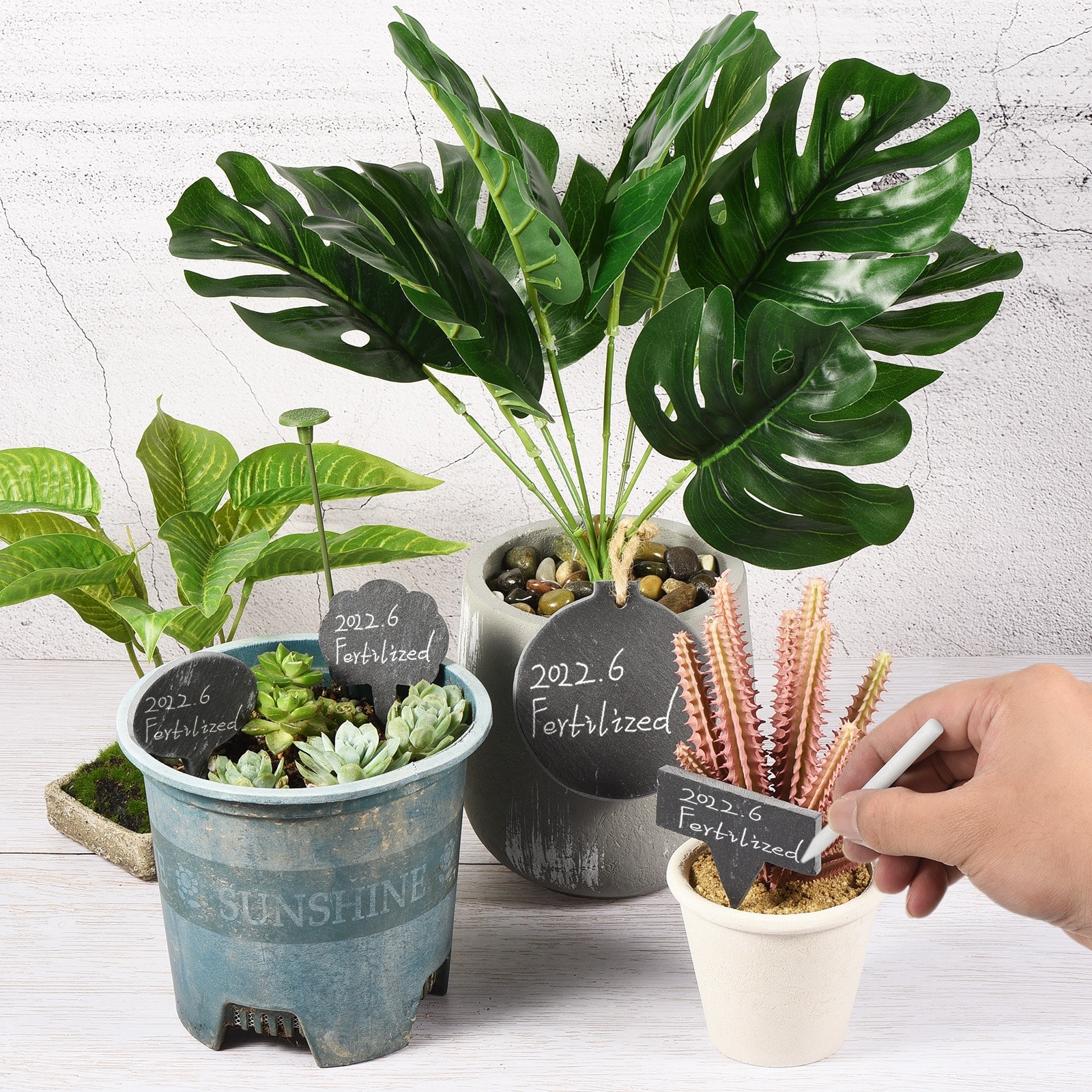 Plant Labels with Pen Slate Oval Shape Marker Tags for Outdoor Garden