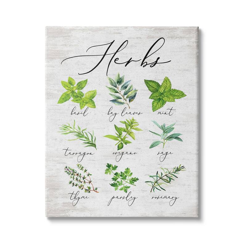 Stupell Kitchen Herb Reference Chart Garden Fresh Home Seasoning Canvas Wall Art - Green - 16 x 20