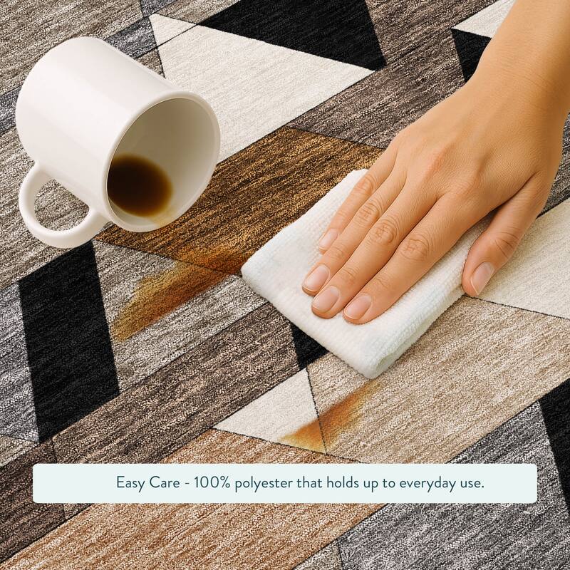 Machine Washable Indoor/ Outdoor Modern DeVaughn Chantille Rug