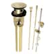 Option Polished Brass