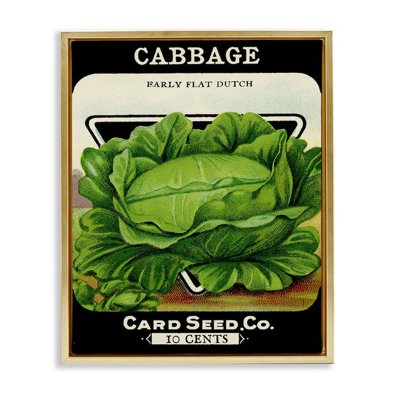 Stupell Vintage Garden Cabbage Framed Floater Canvas Wall Art Design By Lil' Rue - 25 x 31 - Gold