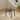 Linon Nordwind Aluminum Outdoor Side Table