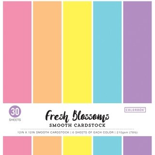 Colorbok 78lb Smooth Cardstock 12/"X12/" 40//Pkg-White