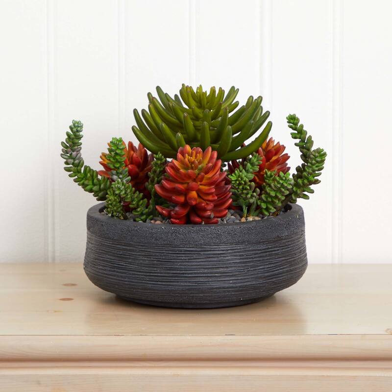12" Succulent Garden Artificial Plant in Decorative Bowl