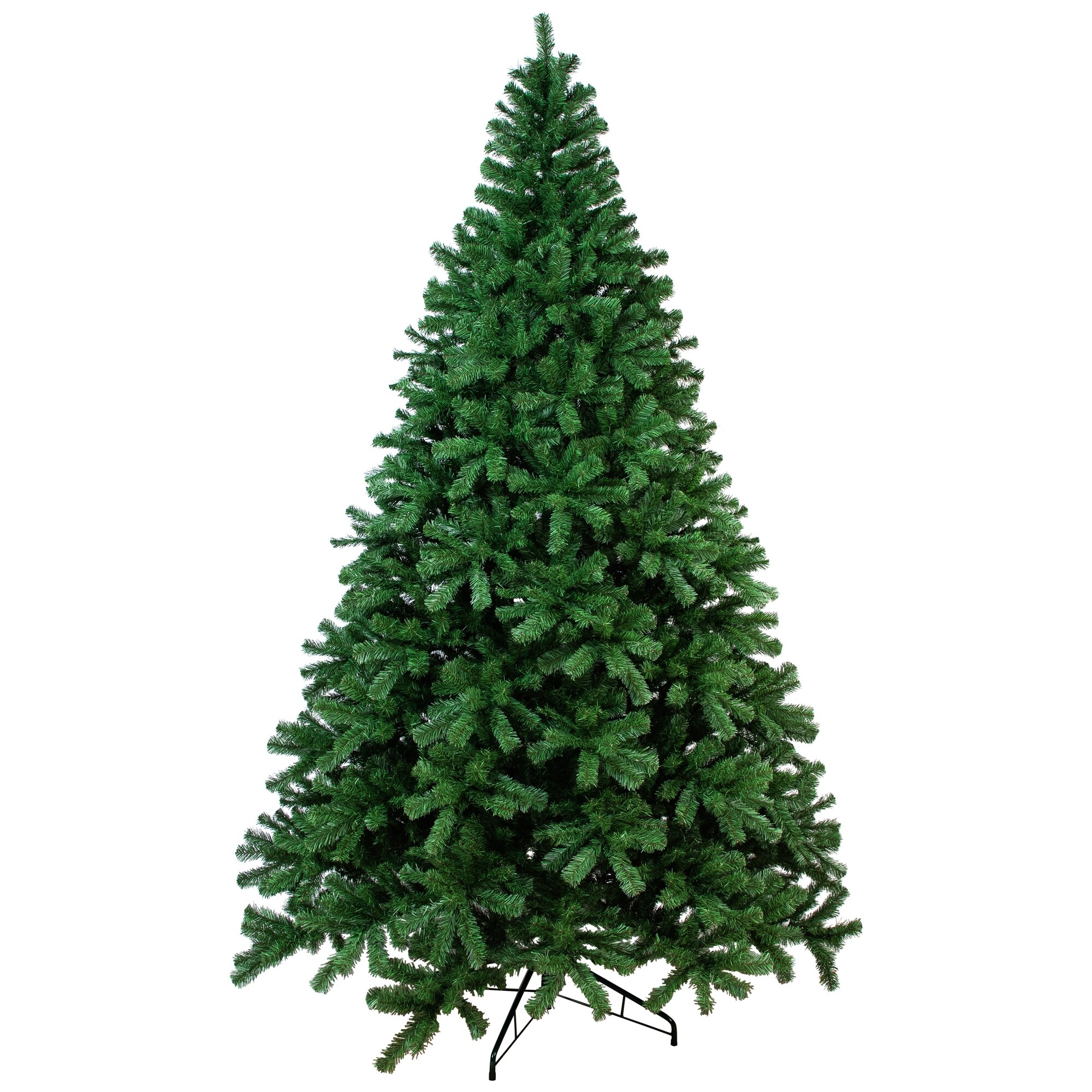 コロニスタ　oman10 real tree OMAN10 Real tree green ver. | COLONISTA