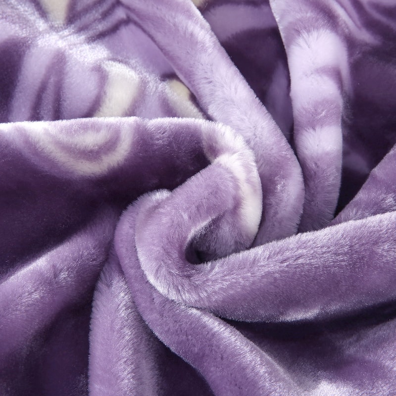 Raschel A&B Printed 2-ply Reversible Korean-style Plush Fleece Blanket