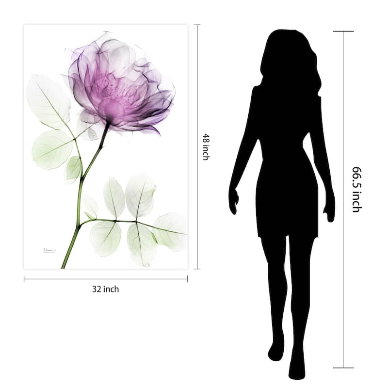 "Rose Dynasty 1" Frameless Free Floating Tempered Glass Panel Graphic Wall Art