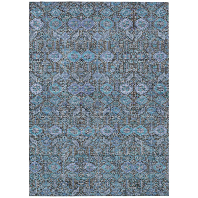 Machine Washable Indoor/ Outdoor Traditional Boho Chantille Rug
