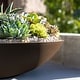 preview thumbnail 33 of 110, Mason Series Lane Bowl Planter
