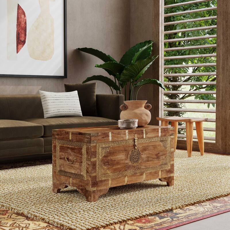 Nador Hand-Painted Brass Inlay Storage Trunk Coffee Table - Sierra Brown