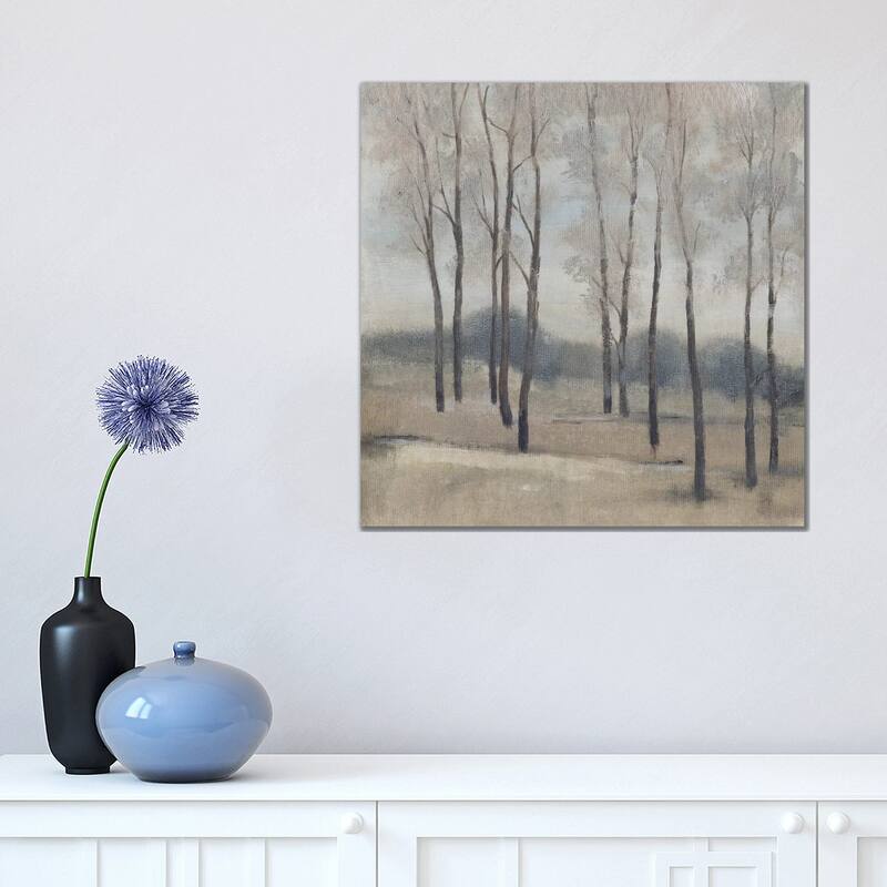 iCanvas "Soft Light II" by Tim OToole Canvas Print - 18x18x1.5