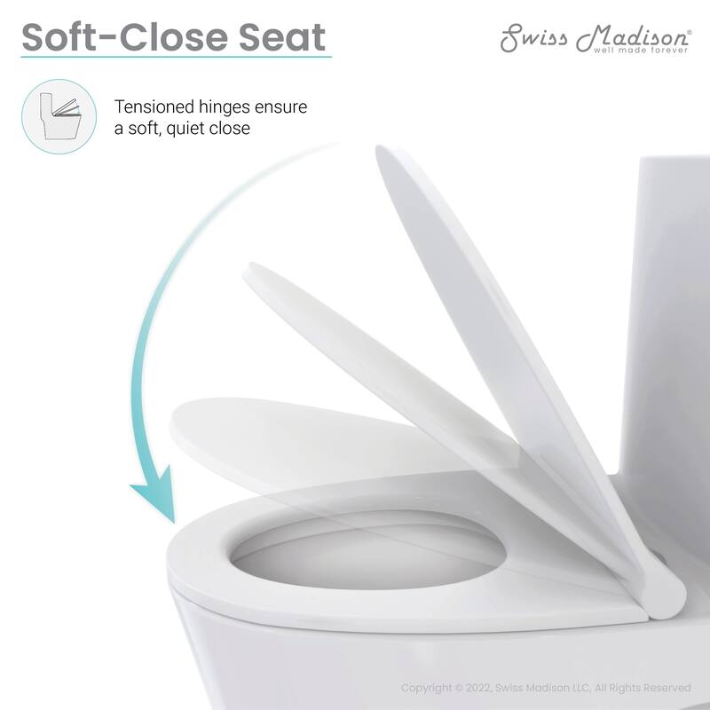 Plaisir One-Piece Elongated Egg Toilet Dual-Flush 1.1/1.6 gpf
