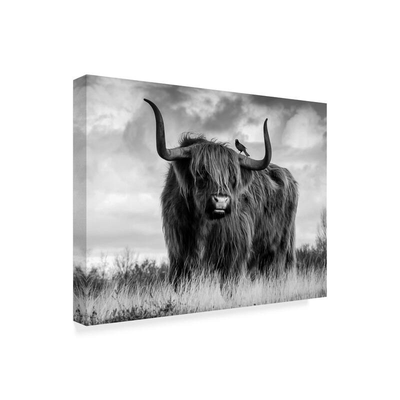 Ata Alishahi 'A Bull' Canvas Art