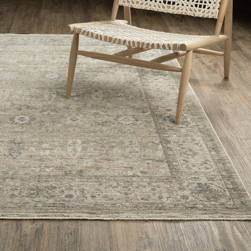 Amira Distressed Traditional Beige/ Grey Area Rug