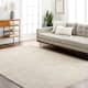 Option Light Gray